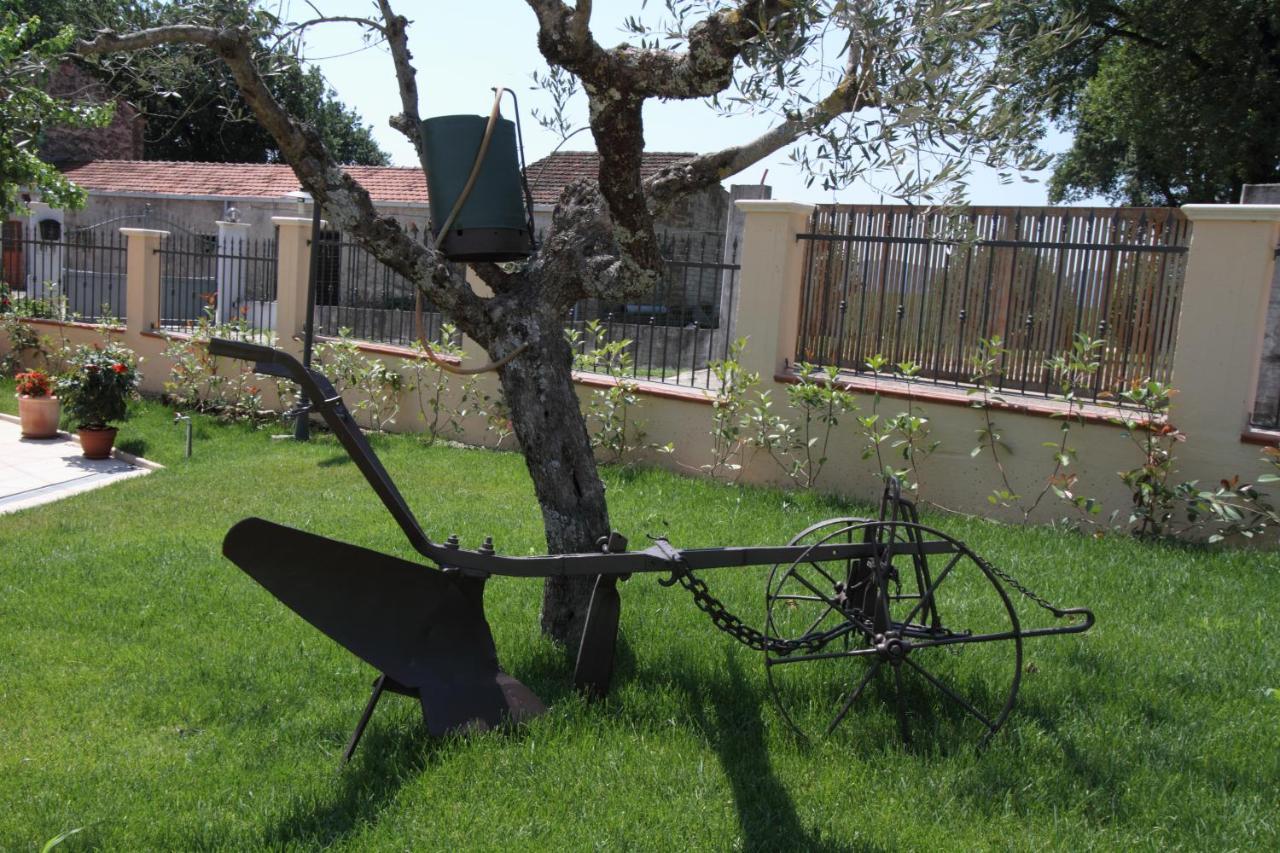 Azienda Agrituristica La Tenuta Del Falco 피에디몬테 산 게르마노 외부 사진